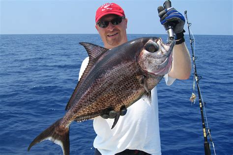deep fishing|Deep Sea Fishing .